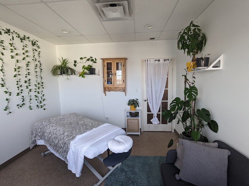 Arnica Therapeutic