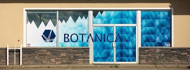 FC Botanica — photo 1