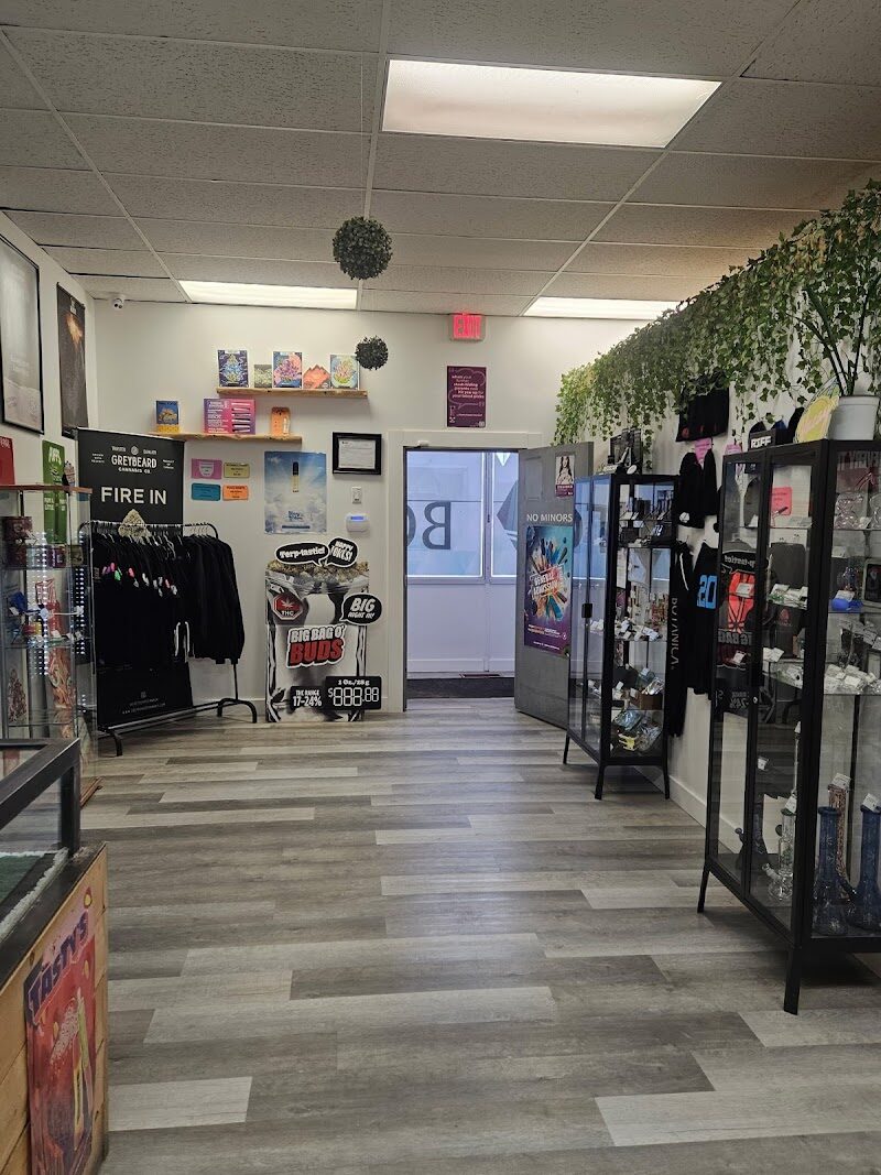 FC Botanica — photo 2