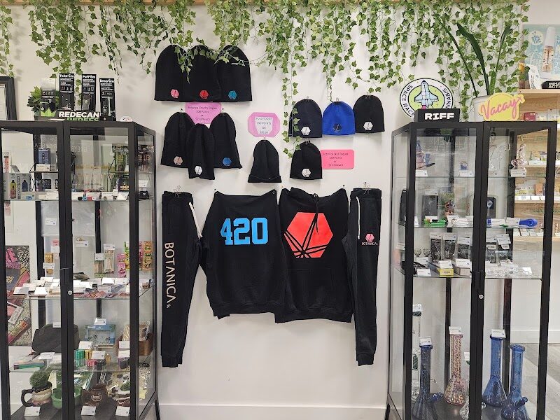 FC Botanica — photo 3