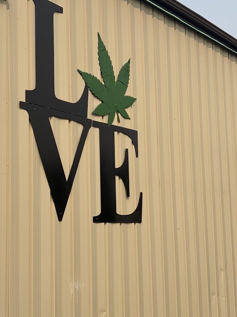 Level 420