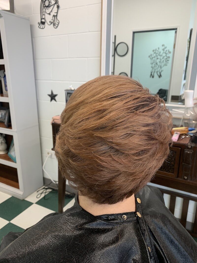Magic Cuts