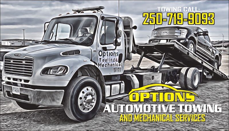 Options Automotive Transport and Recovery