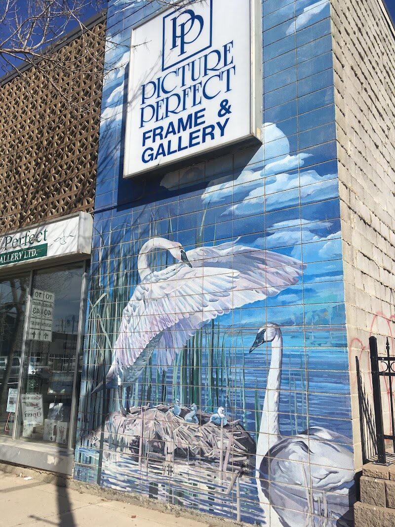 Picture Perfect Frame & Gallery Ltd.