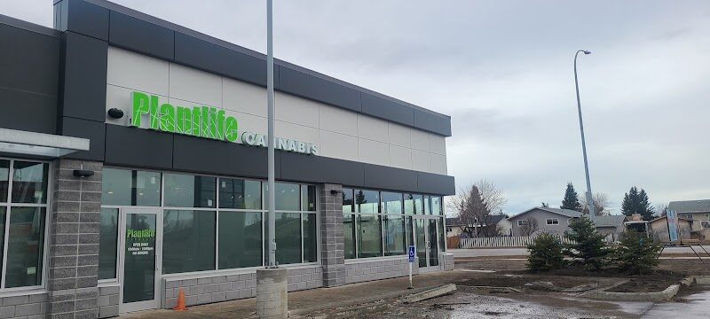 Plantlife Cannabis Dispensary Cobblestone