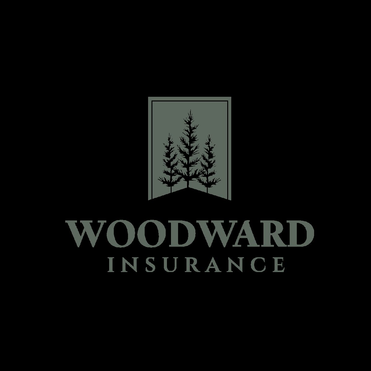 Woodward Insurance Inc