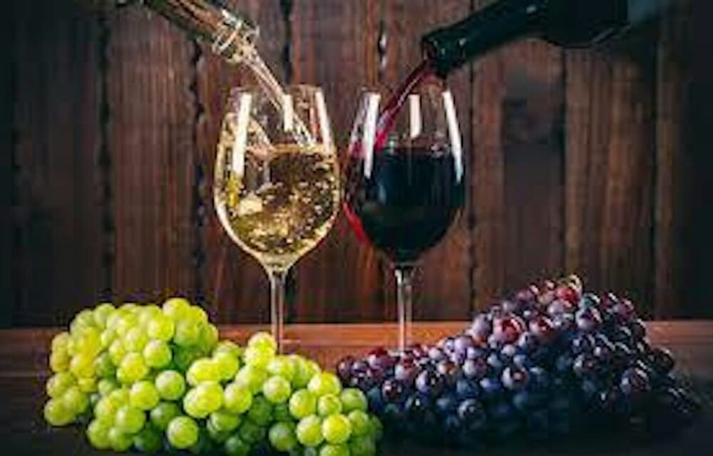 Wine 101 Class
