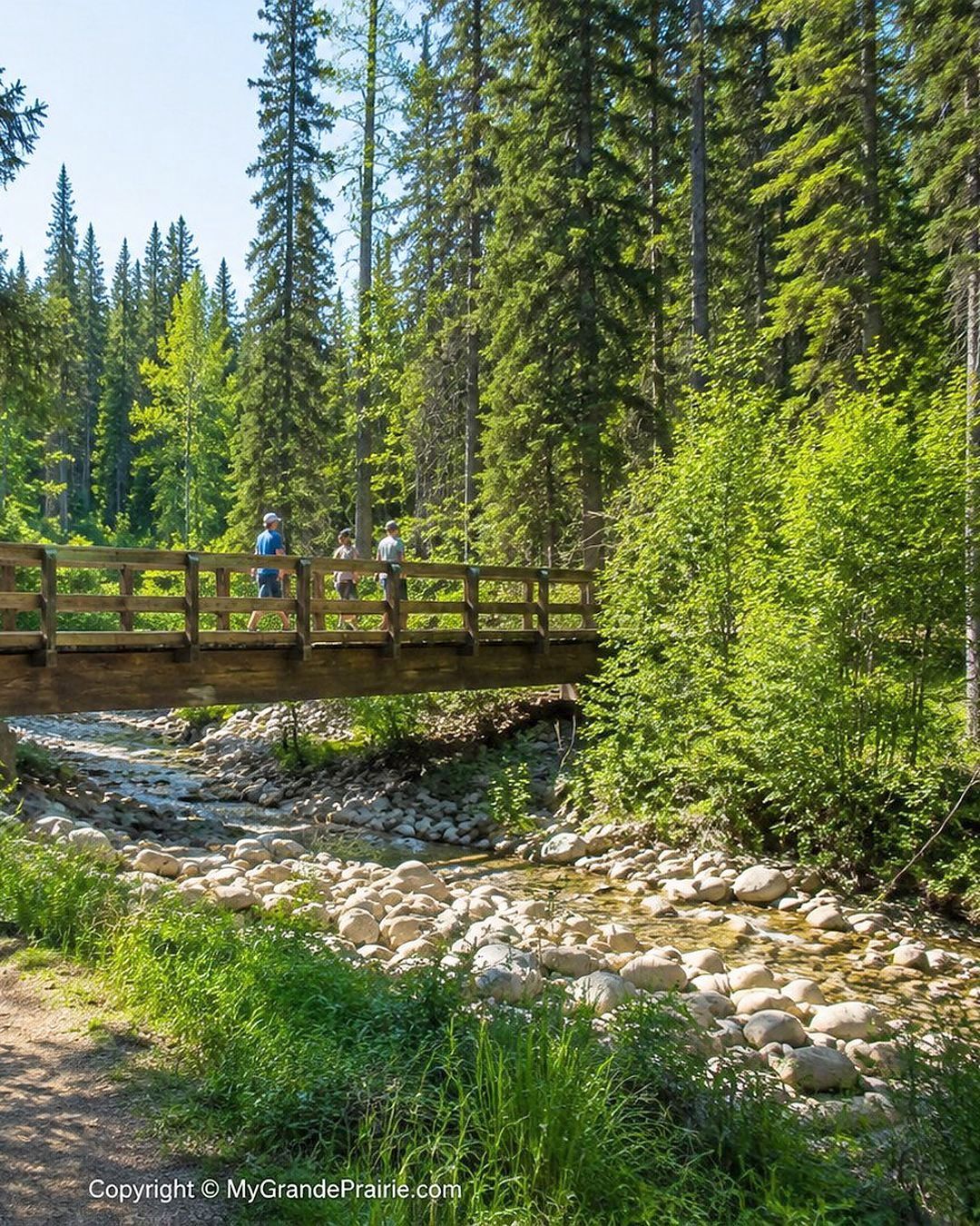 Trails and green space in the Bear Creek valley